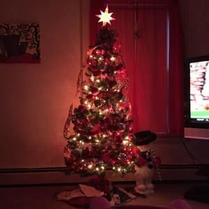 Meet your Posher, Candice