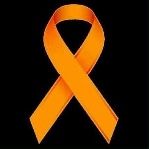 Meet your Posher, Bailey