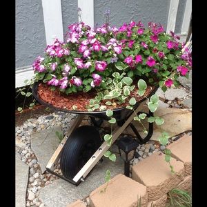 Meet your Posher, Jill