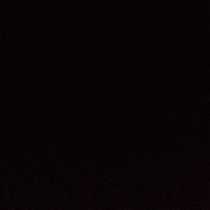 Meet your Posher, Bailey