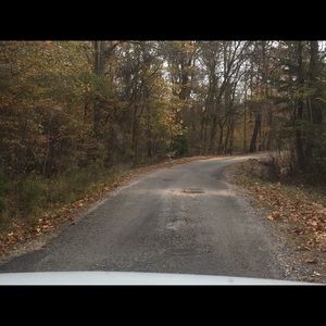 Meet your Posher, Pam