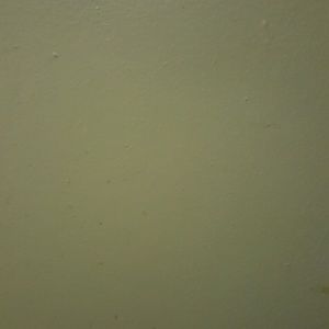 Meet your Posher, Charlotte