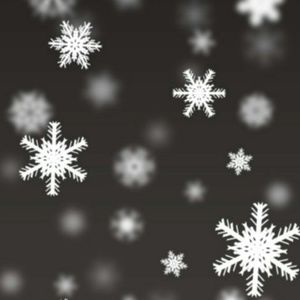 Meet your Posher, Maricela