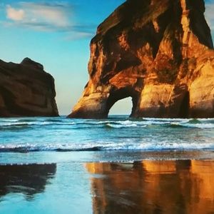 Meet your Posher, Sonya