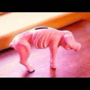 Meet your Posher, Amani