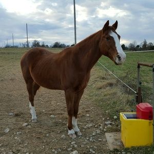 Meet your Posher, Jessaca