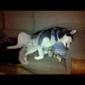 Meet your Posher, Daniel