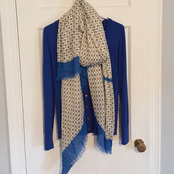 Ann Taylor royal blue and tan scarf