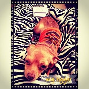 Meet your Posher, Caitlin