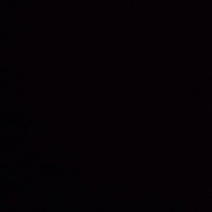 Meet your Posher, Lola