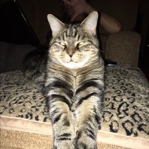 Meet your Posher, Max