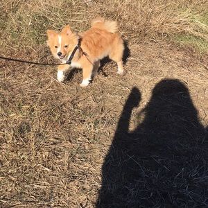 Meet your Posher, Mayra