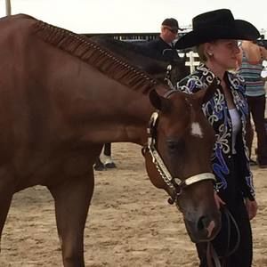 Meet your Posher, Ashley