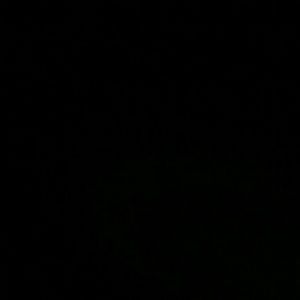 Meet your Posher, Rita