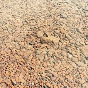 Meet your Posher, Hoa