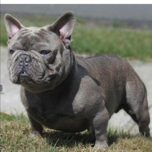 Meet your Posher, Edgar