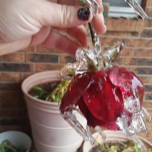 Meet your Posher, Jillian