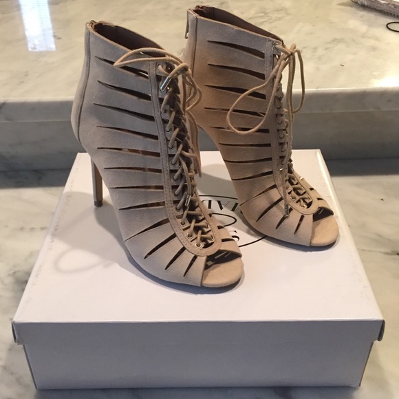 Steve Madden Shoes - Steve Madden cyder blush suede