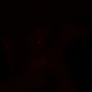 Meet your Posher, Santa