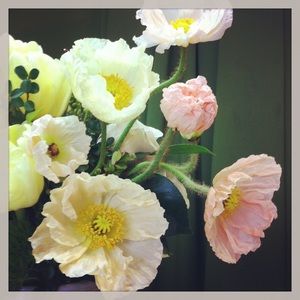 Meet your Posher, Shana