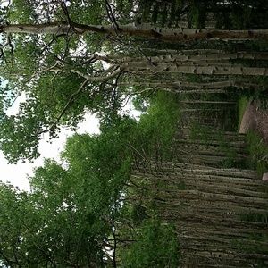 Meet your Posher, Celisse