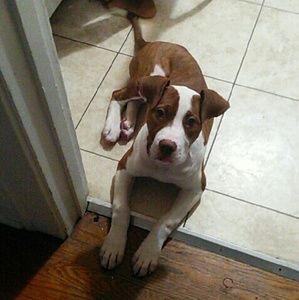 Meet your Posher, Briana