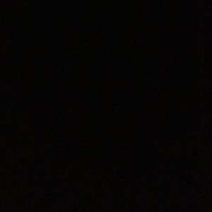 Meet your Posher, Maggie