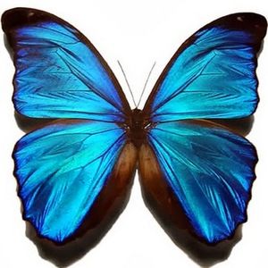 Meet your Posher, Aiyana