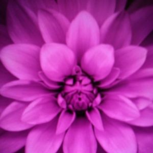 Meet your Posher, Nen