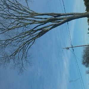 Meet your Posher, Meranda