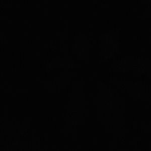 Meet your Posher, Autumn