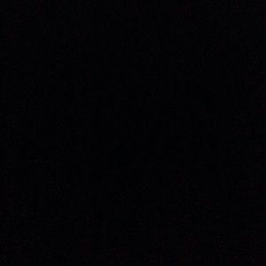 Meet your Posher, Lilia