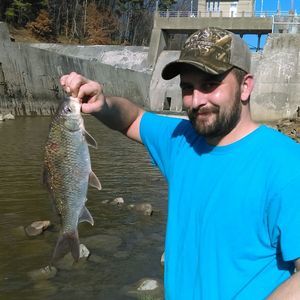 Meet your Posher, Mandie