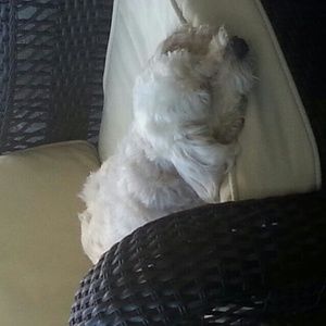 Meet your Posher, Deandra