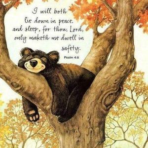 Meet your Posher, Deana