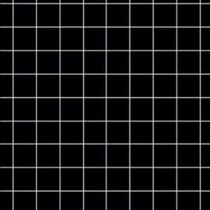 Meet your Posher, Faith