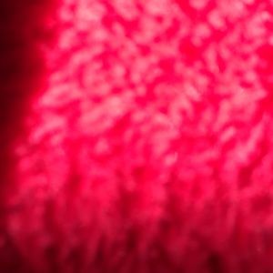 Meet your Posher, Joleen