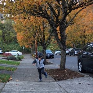 Meet your Posher, Sydney