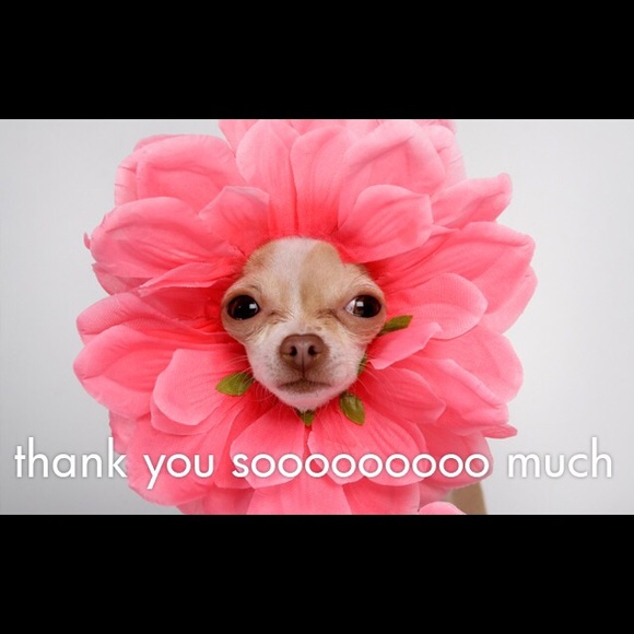 THANK YOU to those who like, share & purchase💗💗