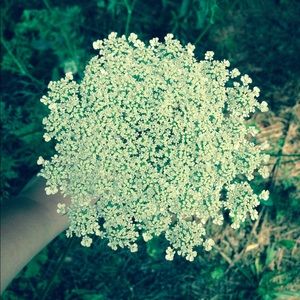 Meet your Posher, Caitlin