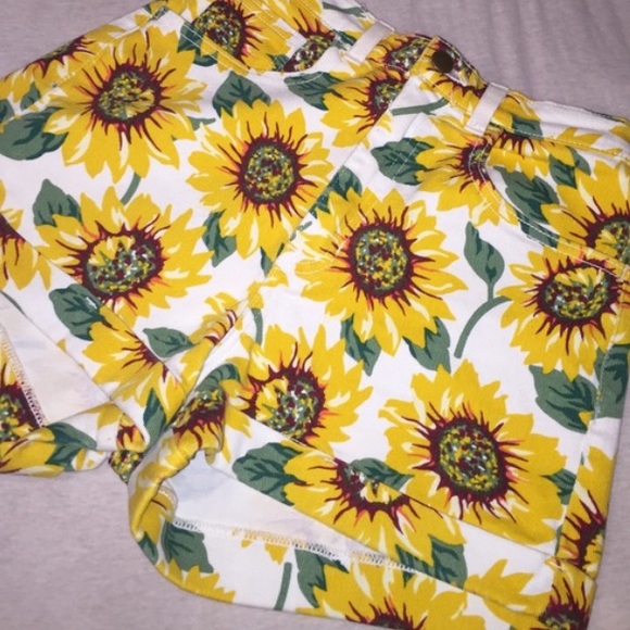 American Apparel Sunflower Shorts