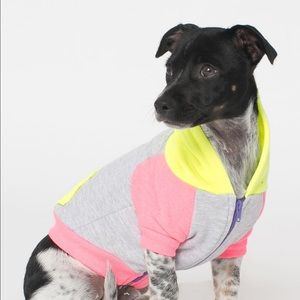 American Apparel Neon Color Block Dog Hoodie