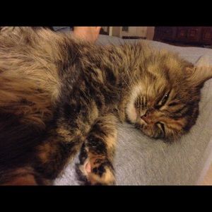 Meet your Posher, Mariah