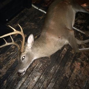 Meet your Posher, Aaron