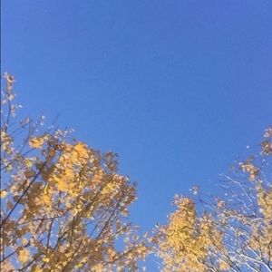 Meet your Posher, Mona