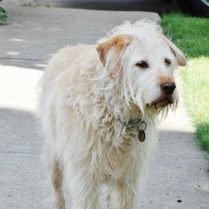 Meet your Posher, Jo