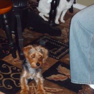 Meet your Posher, Charlotte