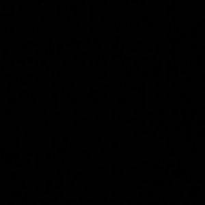 Meet your Posher, Maryann