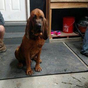 Meet your Posher, Tracy