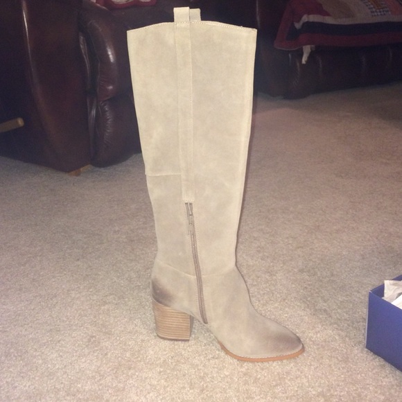 Steve Madden Shoes - ATWELL- Wiley Tall Suede Boot in 8.5